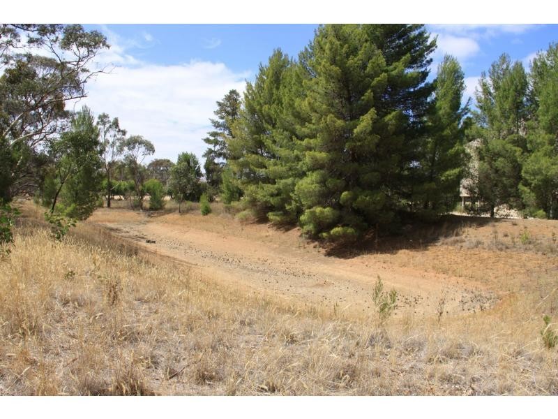 L352 Sturt Highway, Nuriootpa SA 5355