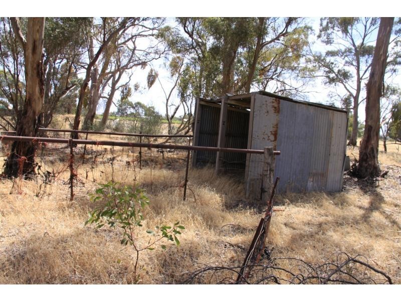 L352 Sturt Highway, Nuriootpa SA 5355