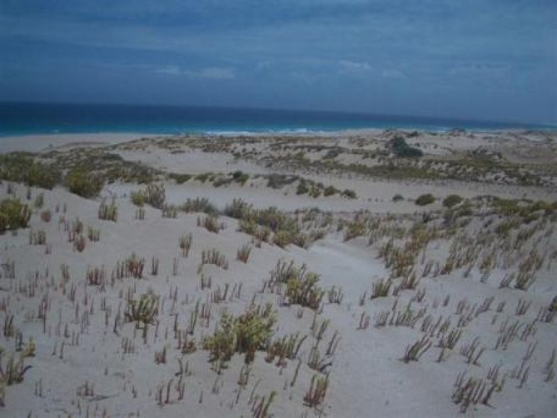 Sec 1 Government Road, Bookabie SA 5690