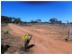 L292 Pat Hydes Road, Morgan SA 5320
