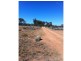 L292 Pat Hydes Road, Morgan SA 5320