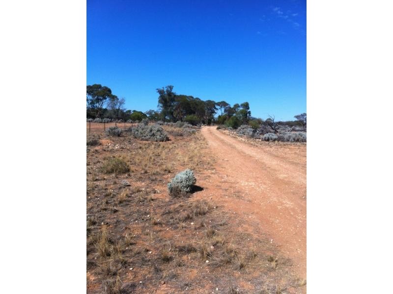 L292 Pat Hydes Road, Morgan SA 5320