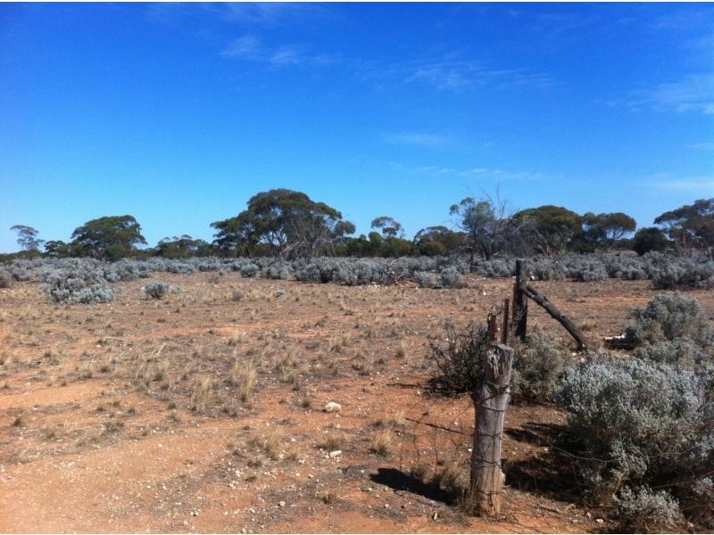 L292 Pat Hydes Road, Morgan SA 5320