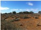 L292 Pat Hydes Road, Morgan SA 5320