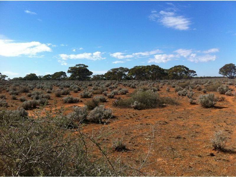 L292 Pat Hydes Road, Morgan SA 5320