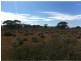 L292 Pat Hydes Road, Morgan SA 5320