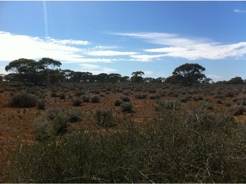L292 Pat Hydes Road, Morgan SA 5320