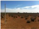 L292 Pat Hydes Road, Morgan SA 5320