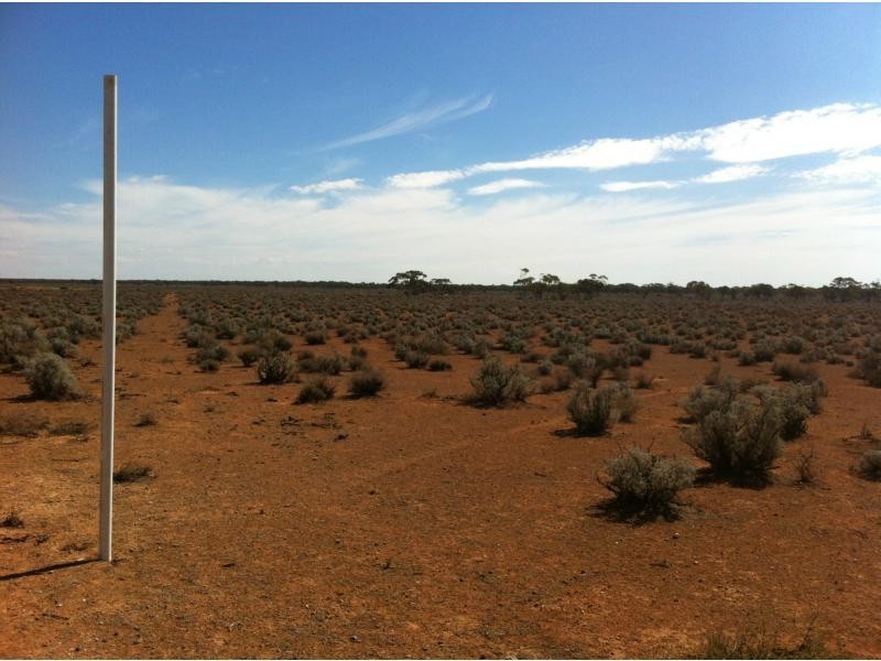 L292 Pat Hydes Road, Morgan SA 5320