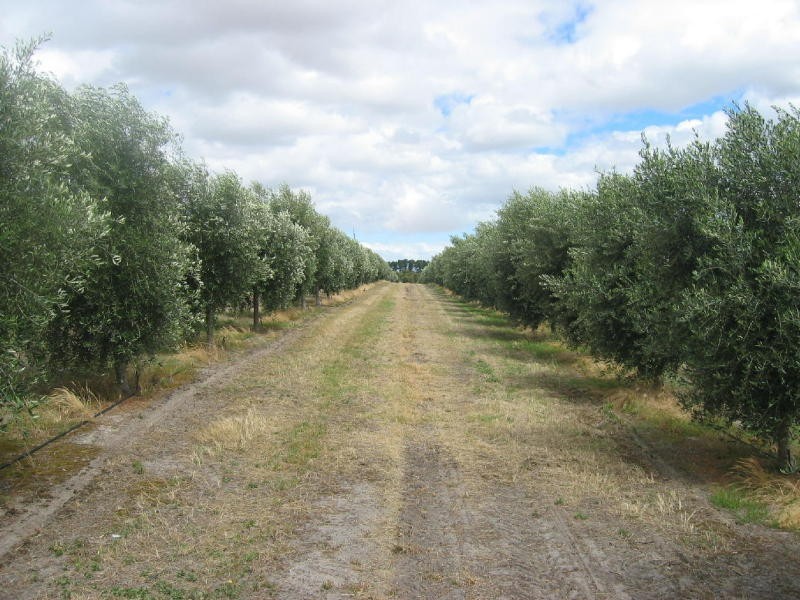 1 BONDS Road, Tooperang SA 5255