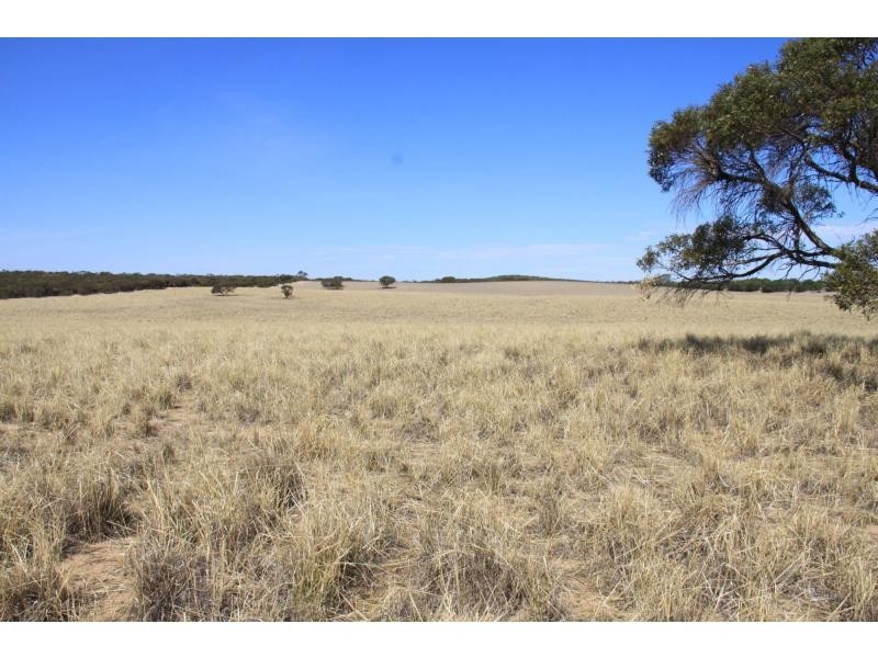 L4 Hd Quirke Ngarkat Highway, Pinnaroo SA 5304