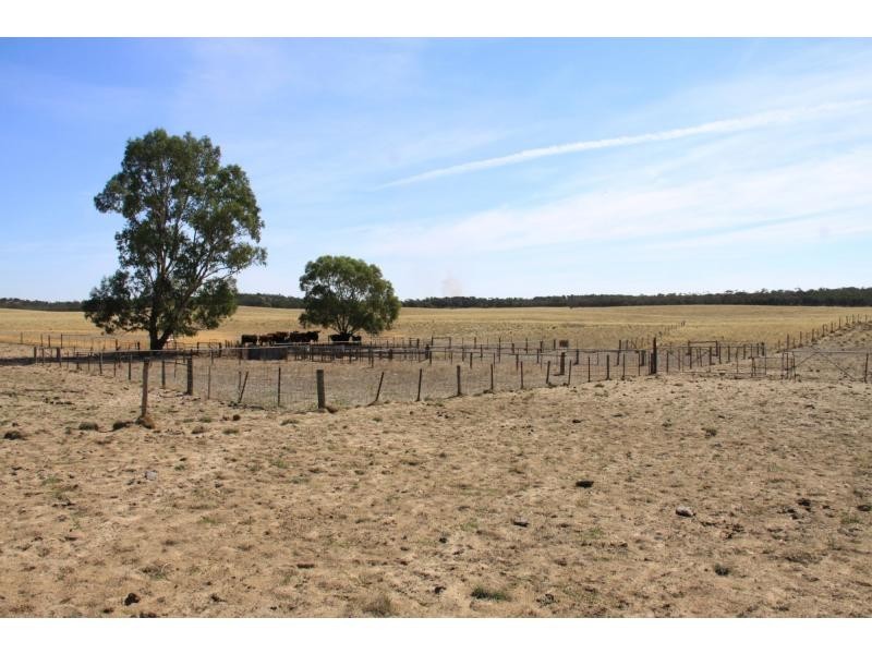 L4 Hd Quirke Ngarkat Highway, Pinnaroo SA 5304