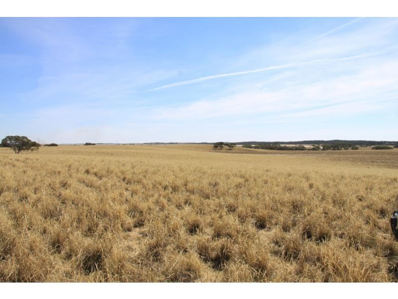 L4 Hd Quirke Ngarkat Highway, Pinnaroo SA 5304