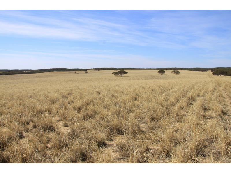 L4 Hd Quirke Ngarkat Highway, Pinnaroo SA 5304