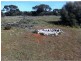 L305 Rock N Roll Road, Bowhill SA 5238