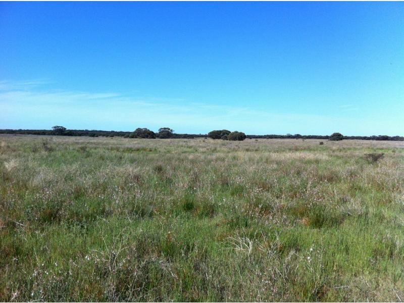 L305 Rock N Roll Road, Bowhill SA 5238