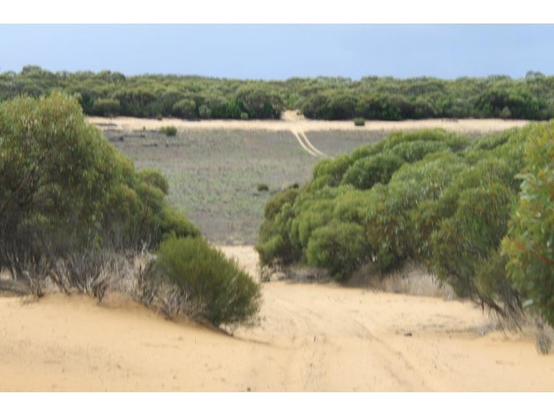 LS56 TORI HILLS Road, Sandalwood SA 5309