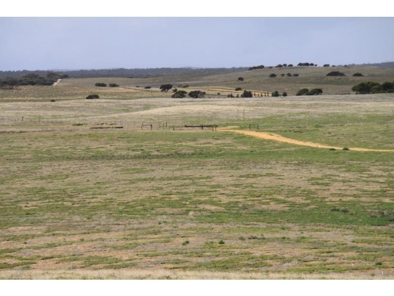 LS56 TORI HILLS Road, Sandalwood SA 5309