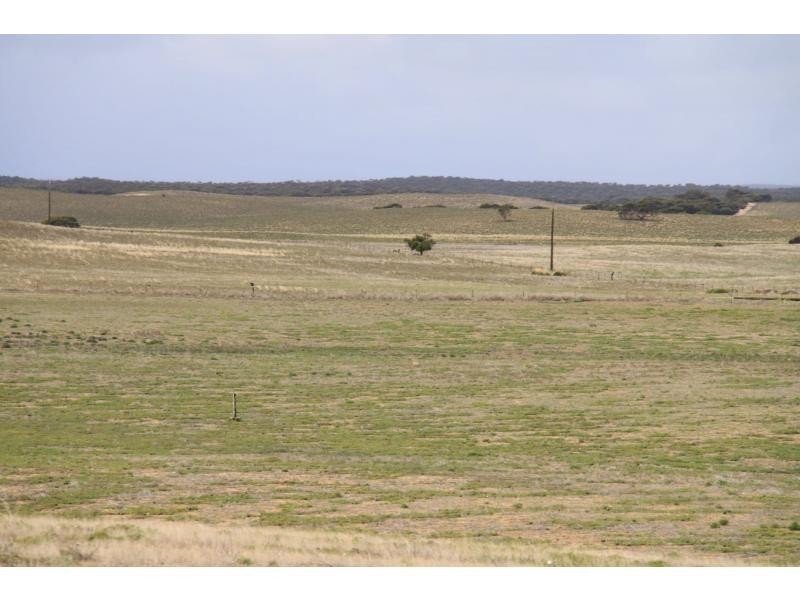 LS56 TORI HILLS Road, Sandalwood SA 5309