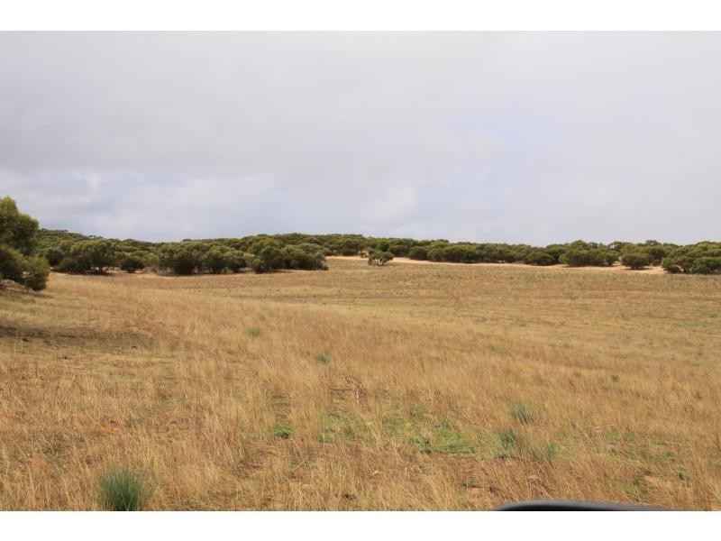 LS56 TORI HILLS Road, Sandalwood SA 5309