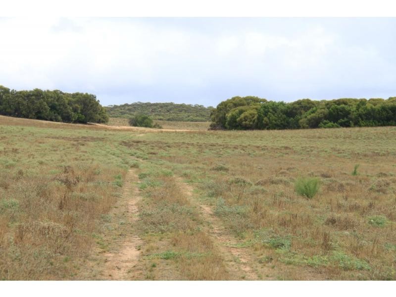 LS56 TORI HILLS Road, Sandalwood SA 5309