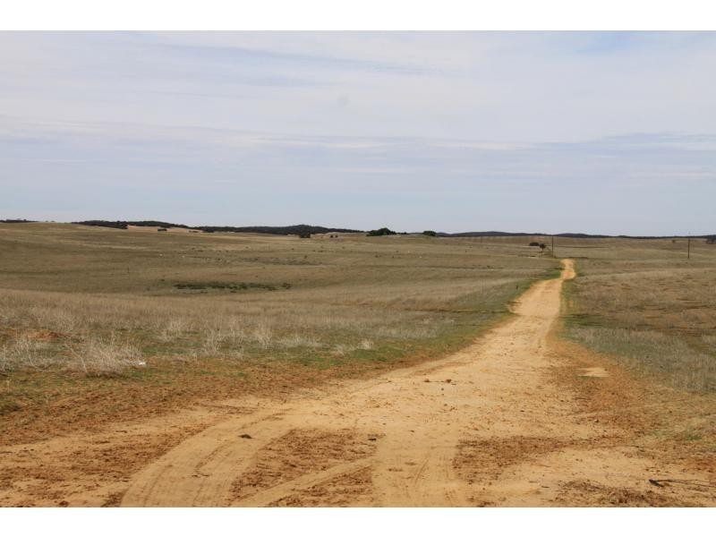 LS56 TORI HILLS Road, Sandalwood SA 5309