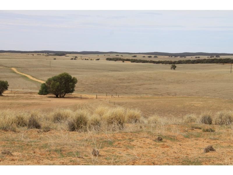 LS56 TORI HILLS Road, Sandalwood SA 5309