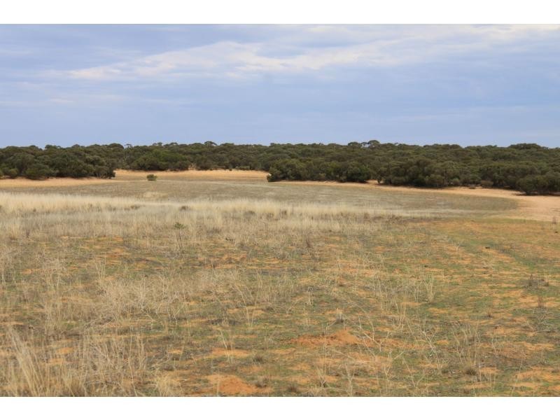 LS56 TORI HILLS Road, Sandalwood SA 5309