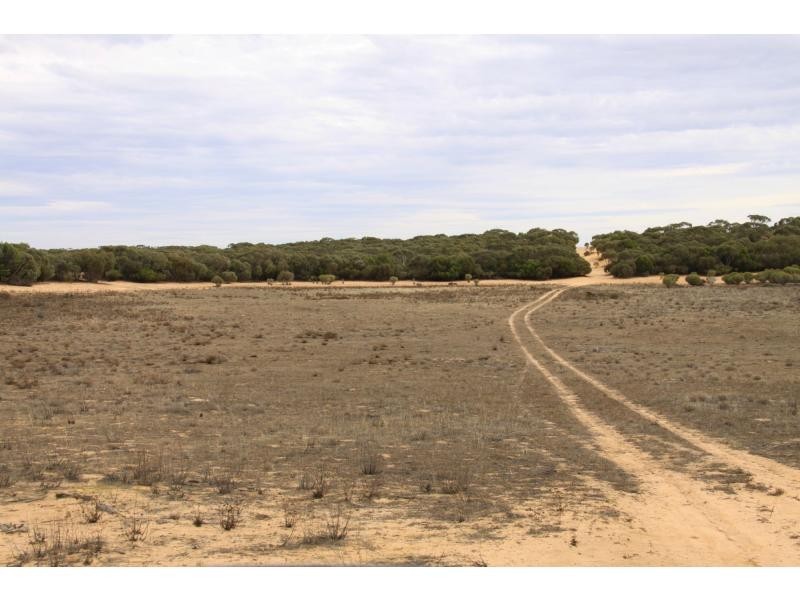 LS56 TORI HILLS Road, Sandalwood SA 5309