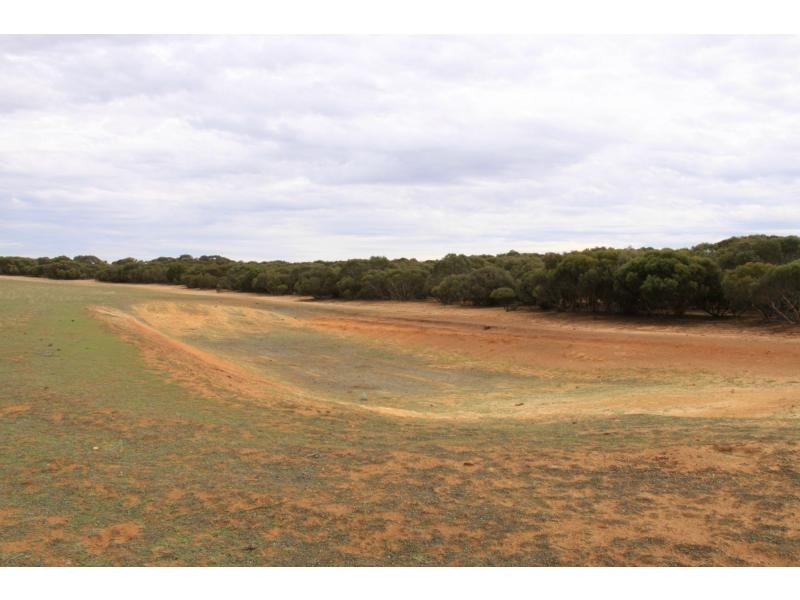 LS56 TORI HILLS Road, Sandalwood SA 5309