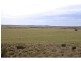 L31-37 Mulpata Road, Lameroo SA 5302