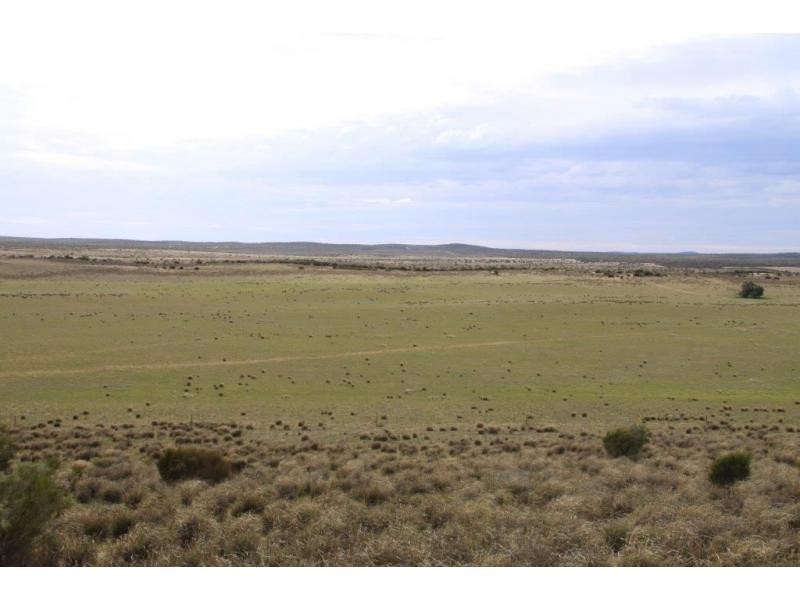 L31-37 Mulpata Road, Lameroo SA 5302