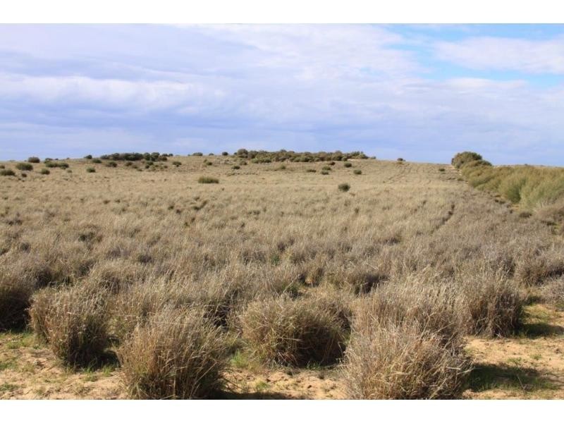 L31-37 Mulpata Road, Lameroo SA 5302