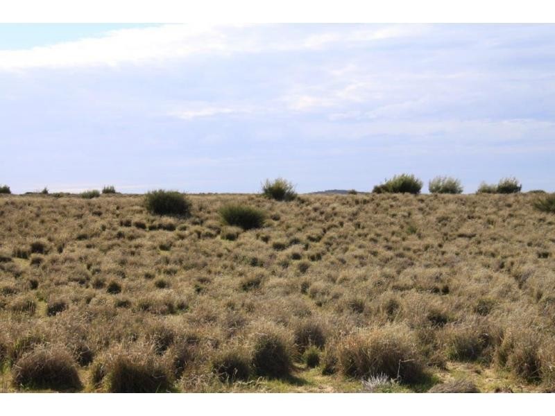 L31-37 Mulpata Road, Lameroo SA 5302