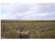 L31-37 Mulpata Road, Lameroo SA 5302