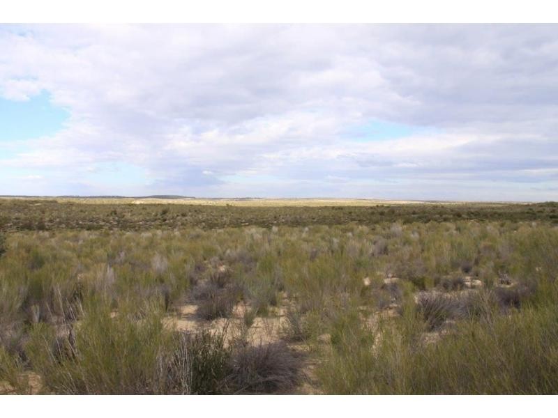 L31-37 Mulpata Road, Lameroo SA 5302