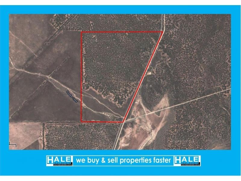 L45 Old Whyalla Road, Cowell SA 5602