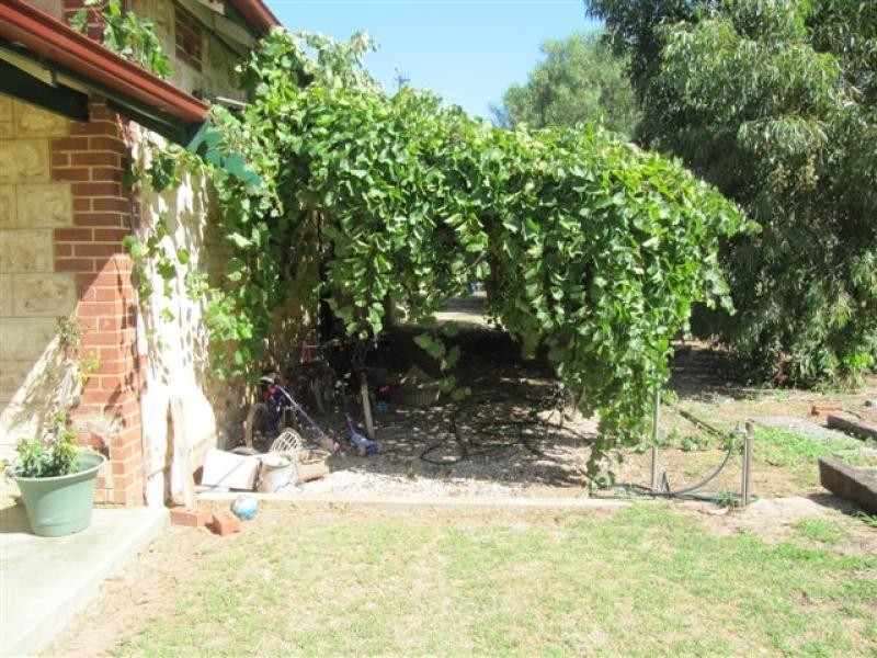 38 Bruce Terrace, Cummins SA 5631