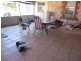 38 Bruce Terrace, Cummins SA 5631