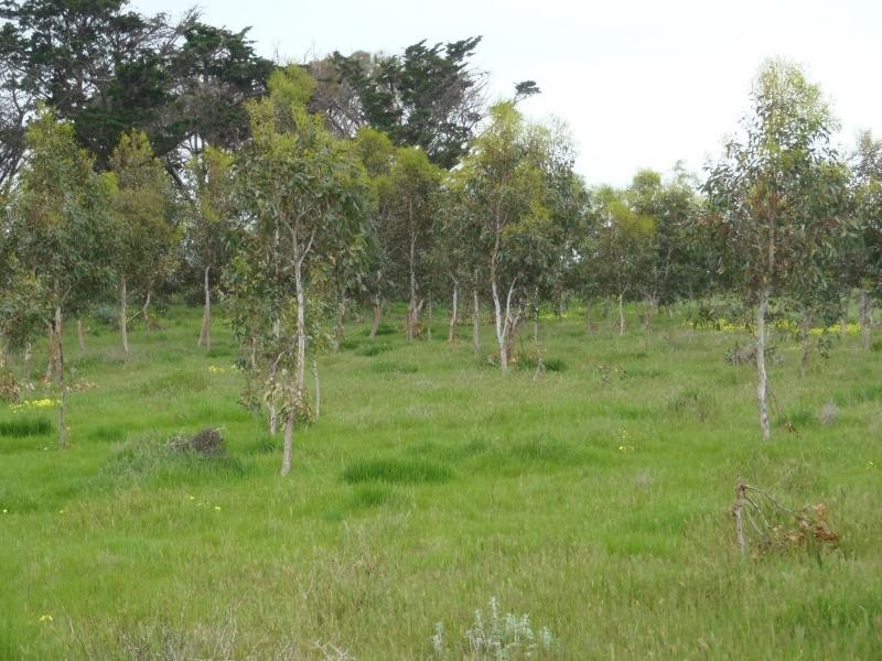 167 BEULAH PARK Road, Meningie SA 5264