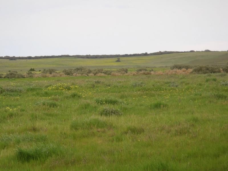 167 BEULAH PARK Road, Meningie SA 5264