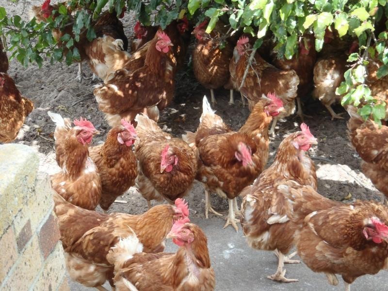 167 BEULAH PARK Road, Meningie SA 5264