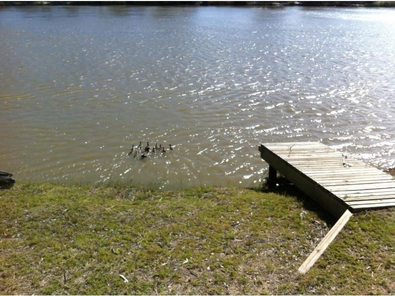 L185 SCOTTS CREEK SHACK ROAD, Morgan SA 5320