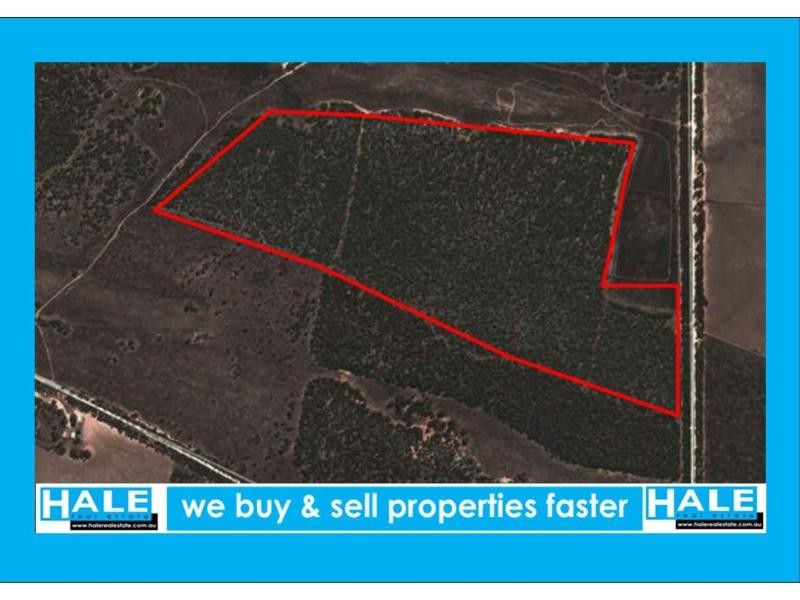 L102 Green Road, Bowhill SA 5238