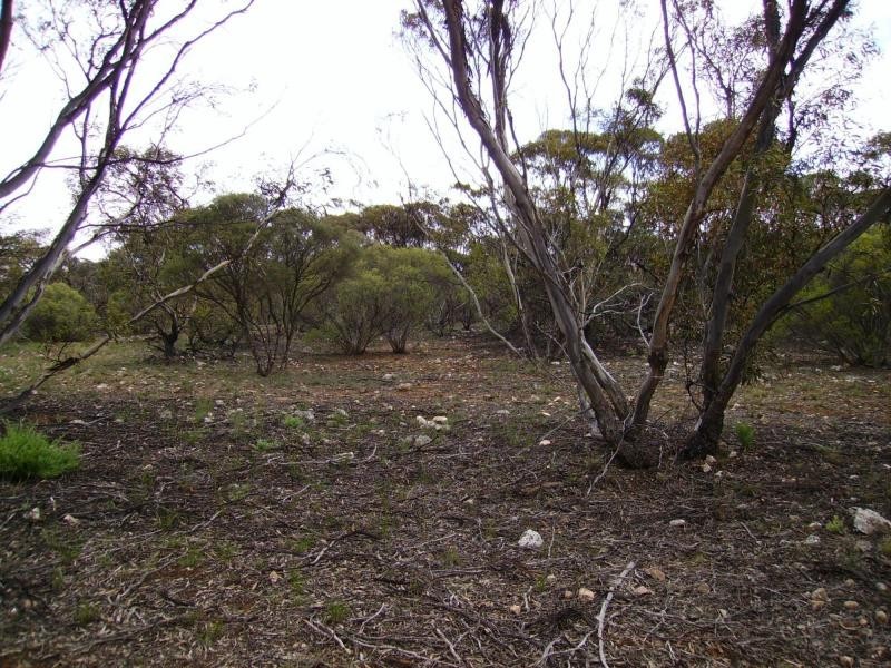 L102 Green Road, Bowhill SA 5238