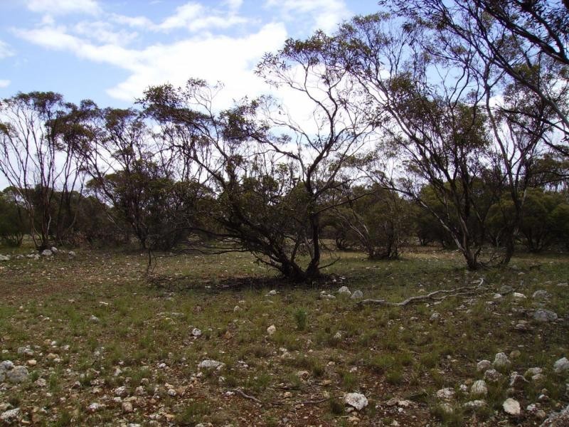 L102 Green Road, Bowhill SA 5238