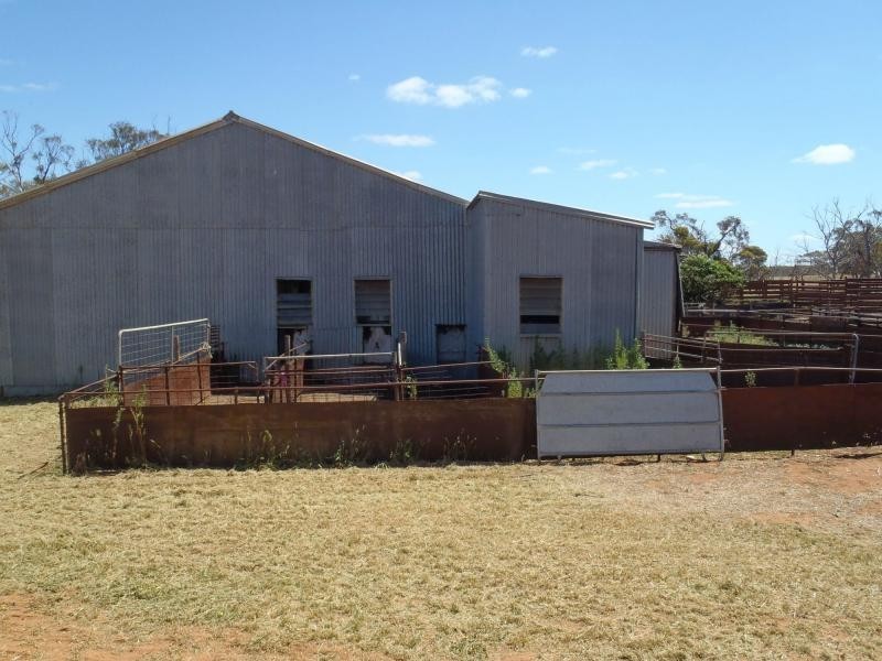 L202 KIlpalie Road, Sandalwood SA 5309