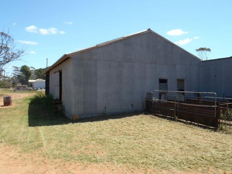 L202 KIlpalie Road, Sandalwood SA 5309