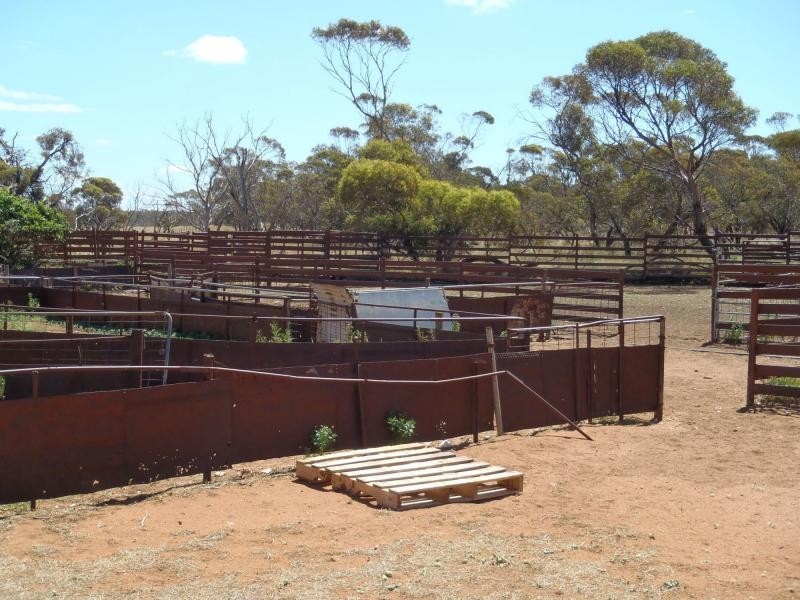 L202 KIlpalie Road, Sandalwood SA 5309