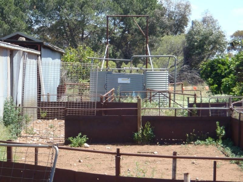 L202 KIlpalie Road, Sandalwood SA 5309